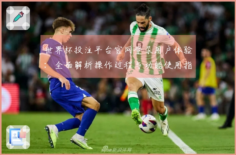 世界杯投注平台官网登录用户体验：全面解析操作过程与功能使用指南