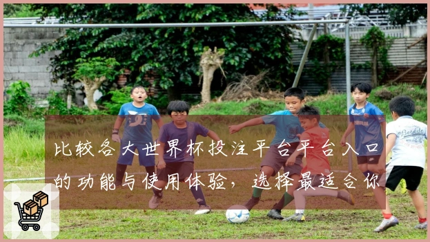 比较各大世界杯投注平台平台入口的功能与使用体验，选择最适合你的平台