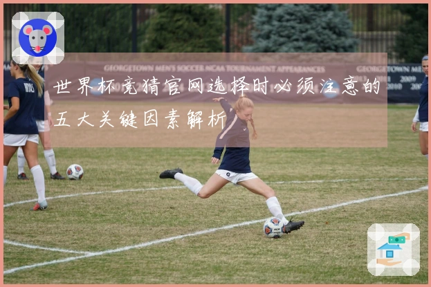 世界杯竞猜官网选择时必须注意的五大关键因素解析