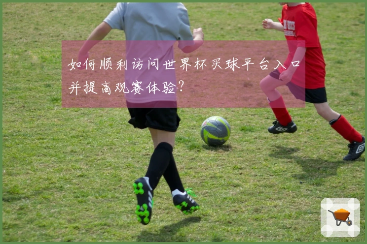如何顺利访问世界杯买球平台入口并提高观赛体验？