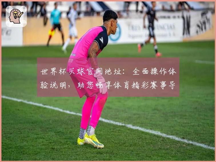 世界杯买球官网地址：全面操作体验说明，助您畅享体育精彩赛事导航