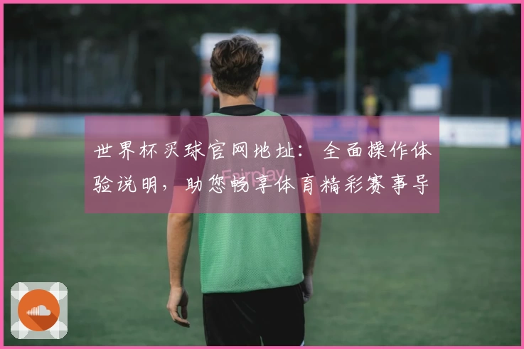 世界杯买球官网地址：全面操作体验说明，助您畅享体育精彩赛事导航