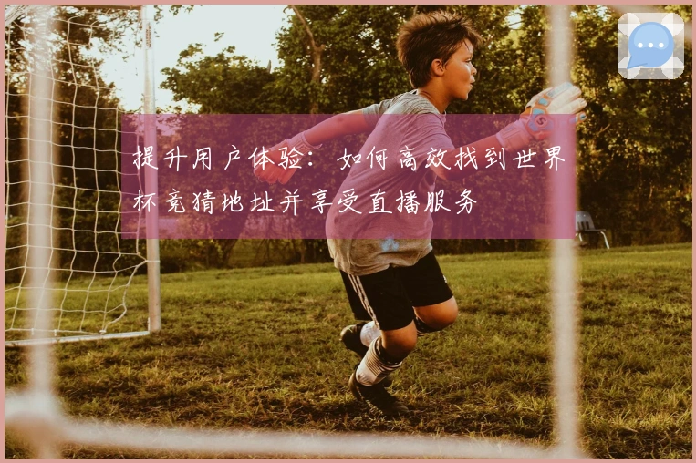 提升用户体验：如何高效找到世界杯竞猜地址并享受直播服务