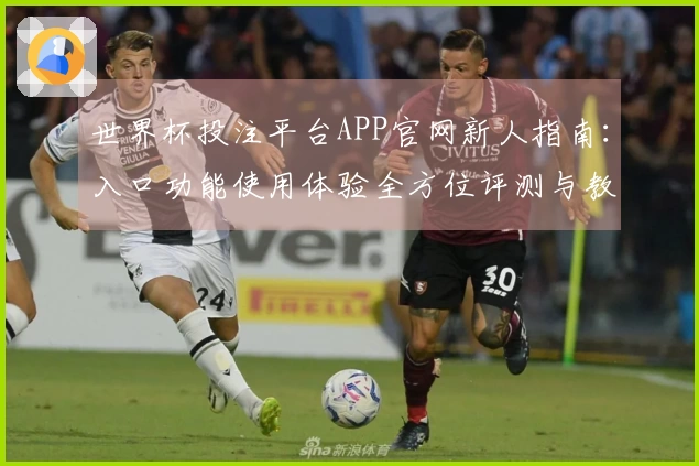 世界杯投注平台APP官网新人指南：入口功能使用体验全方位评测与教程