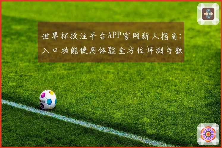 世界杯投注平台APP官网新人指南：入口功能使用体验全方位评测与教程
