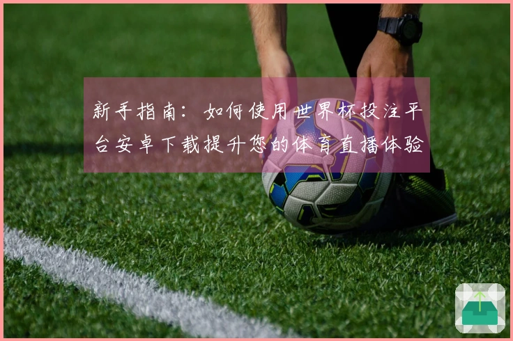 新手指南：如何使用世界杯投注平台安卓下载提升您的体育直播体验