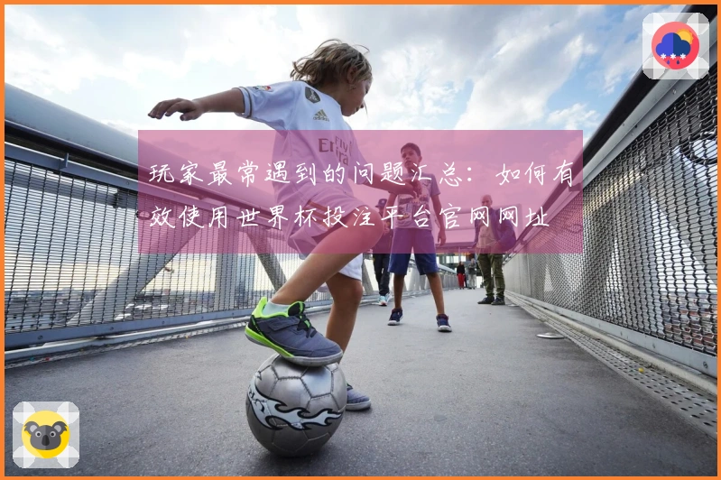 玩家最常遇到的问题汇总：如何有效使用世界杯投注平台官网网址