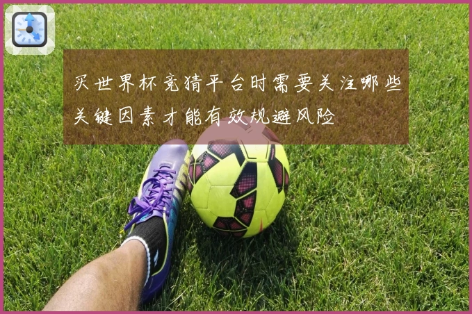 买世界杯竞猜平台时需要关注哪些关键因素才能有效规避风险