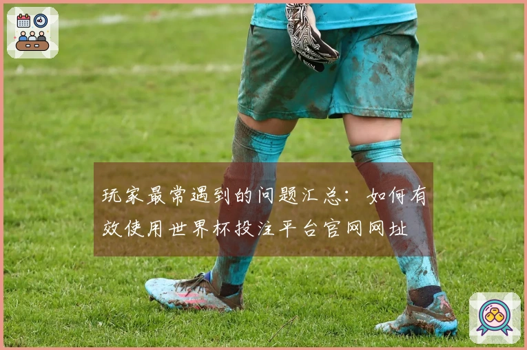 玩家最常遇到的问题汇总：如何有效使用世界杯投注平台官网网址
