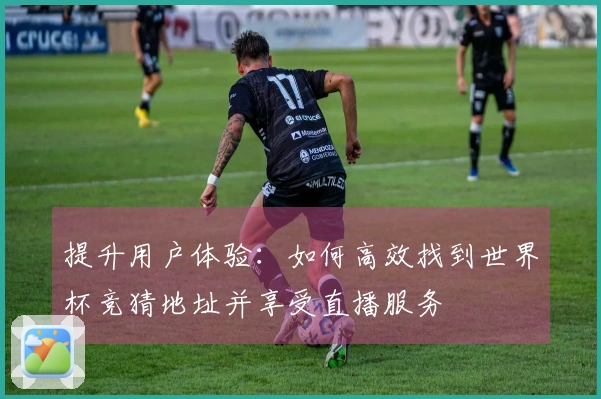 提升用户体验：如何高效找到世界杯竞猜地址并享受直播服务