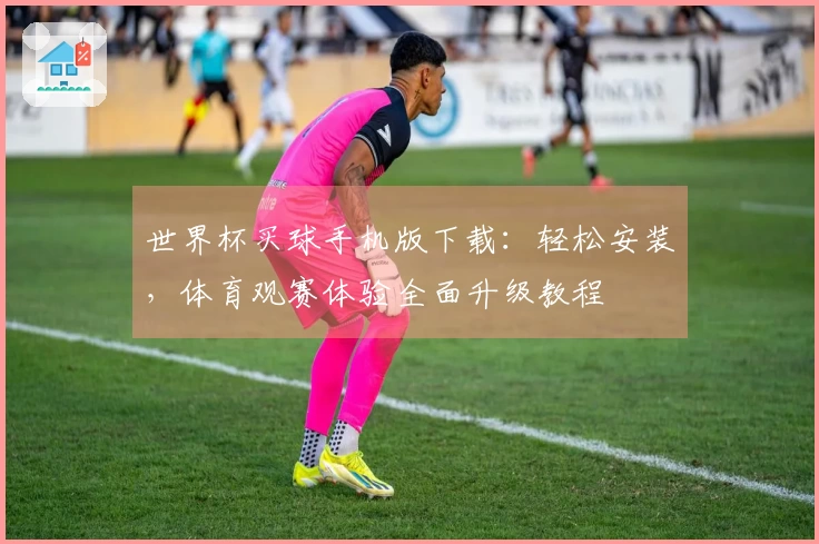 世界杯买球手机版下载：轻松安装，体育观赛体验全面升级教程