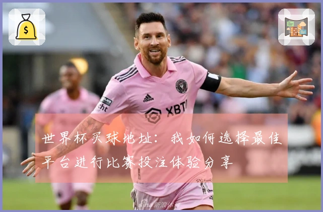 世界杯买球地址：我如何选择最佳平台进行比赛投注体验分享