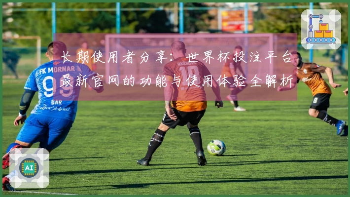 长期使用者分享：世界杯投注平台最新官网的功能与使用体验全解析