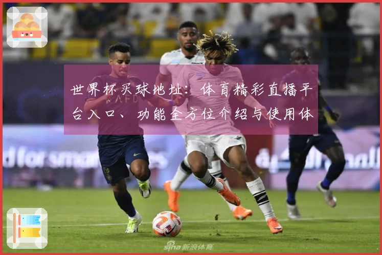 世界杯买球地址：体育精彩直播平台入口、功能全方位介绍与使用体验详解