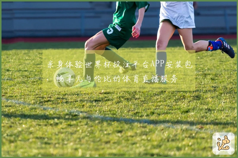 亲身体验世界杯投注平台APP安装包，畅享无与伦比的体育直播服务