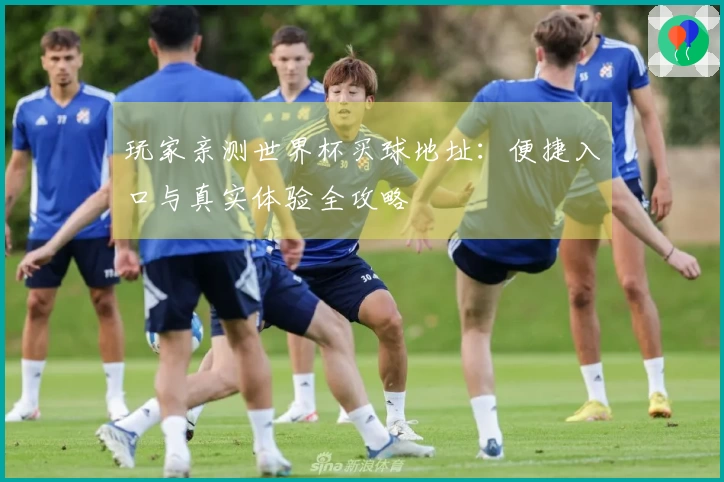 玩家亲测世界杯买球地址：便捷入口与真实体验全攻略