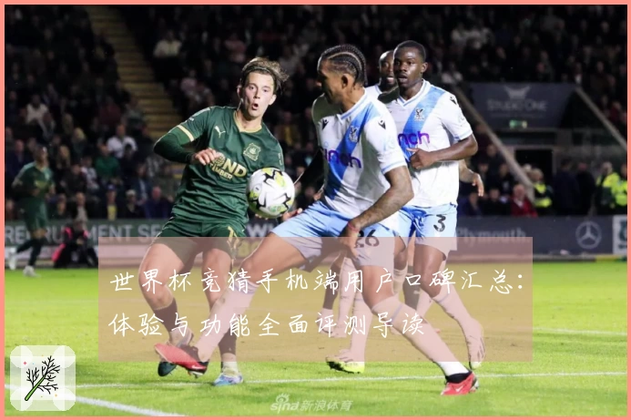 世界杯竞猜手机端用户口碑汇总:体验与功能全面评测导读