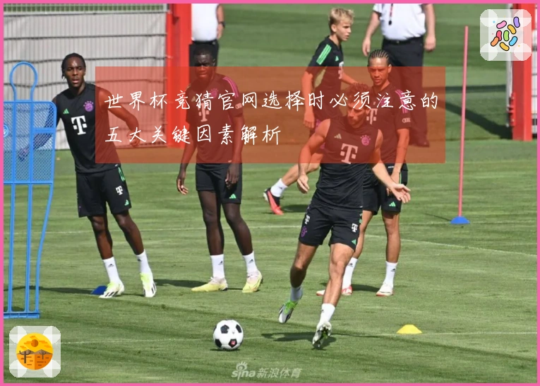 世界杯竞猜官网选择时必须注意的五大关键因素解析